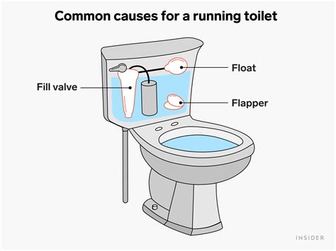 How to Stop a Toilet from Running: A Symphony of Plumbing and Philosophy